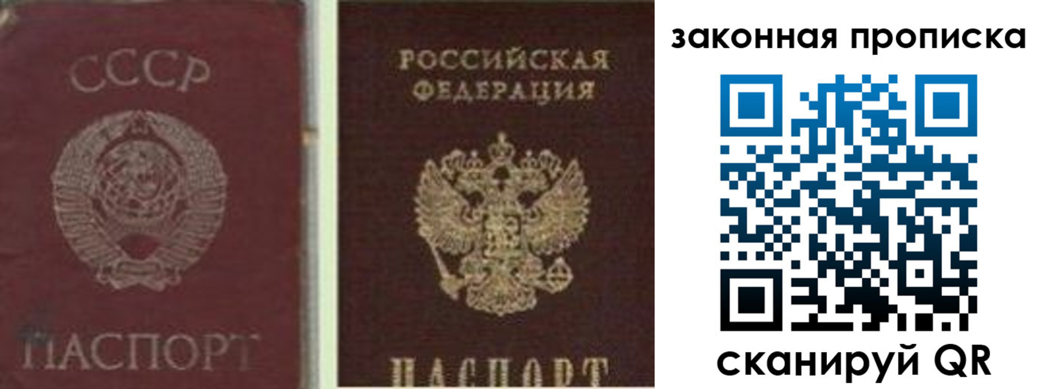 прописка для работы в Лосино-Петровском